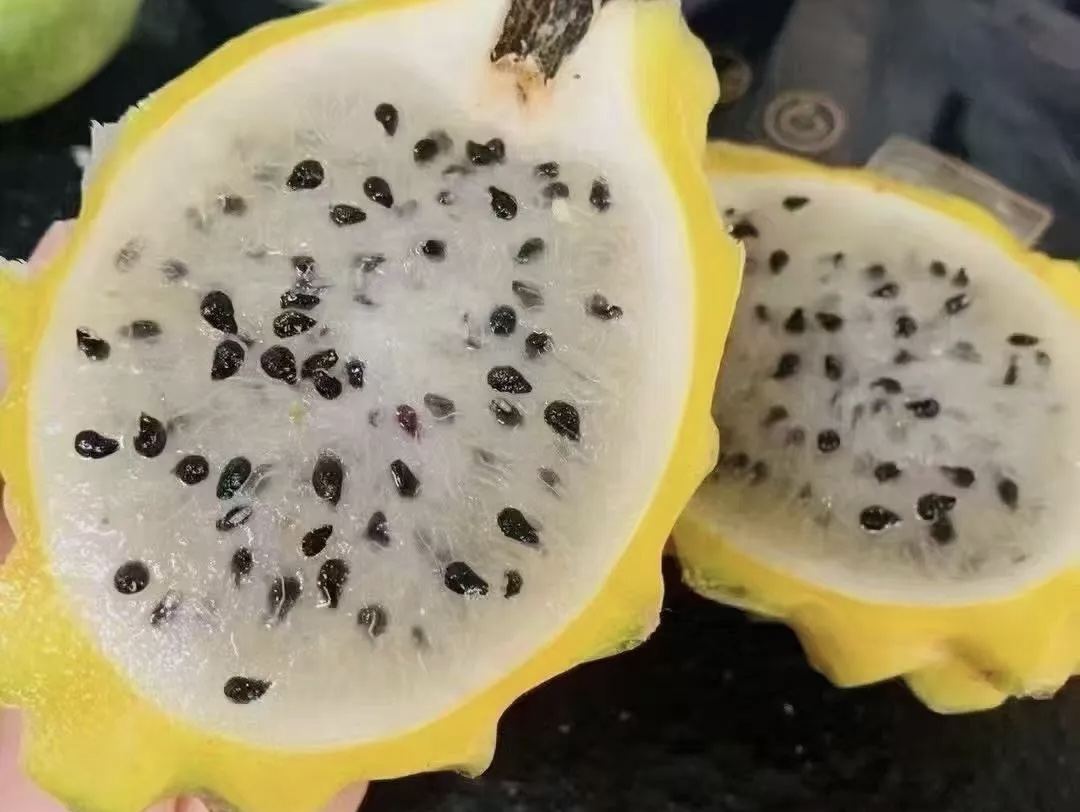 燕窝果切开果肉实拍